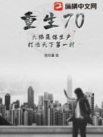 重生70：大搞集体生产，打造天下第一村漫画封面图片